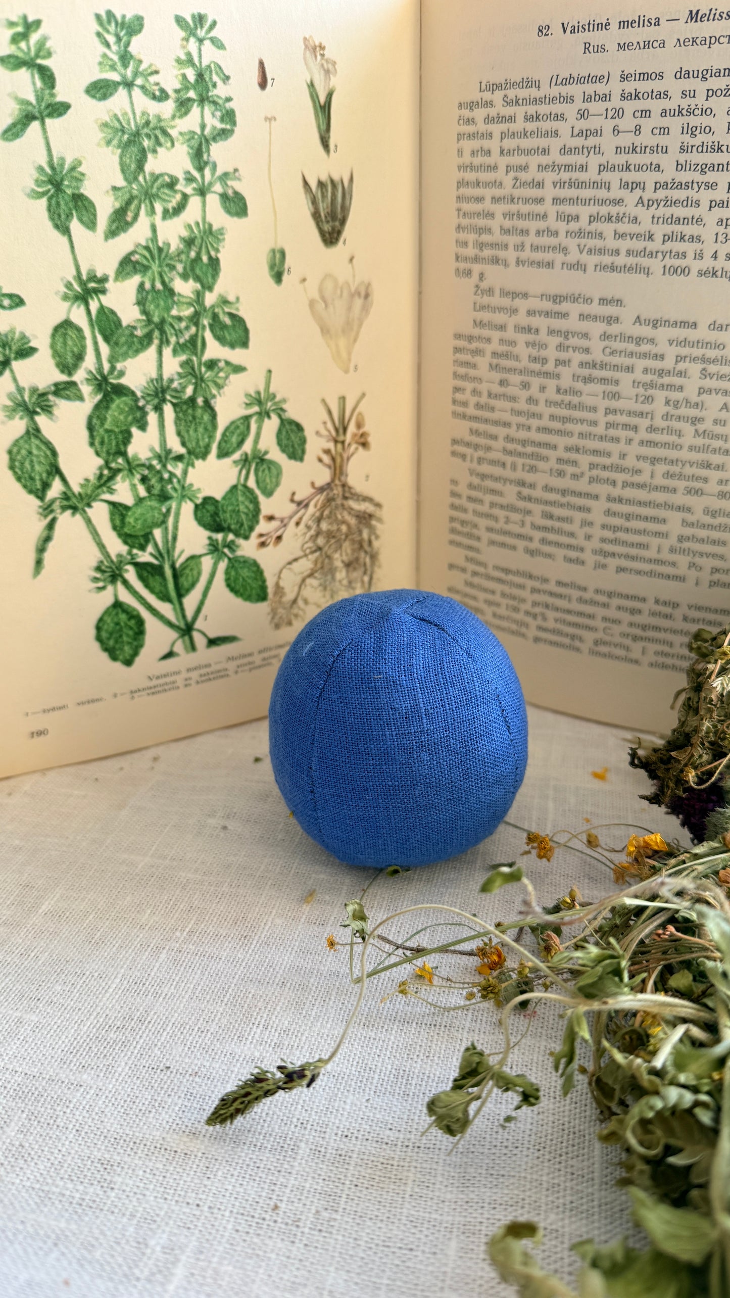 Sensorinis kamuoliukas "Mėlynumas”