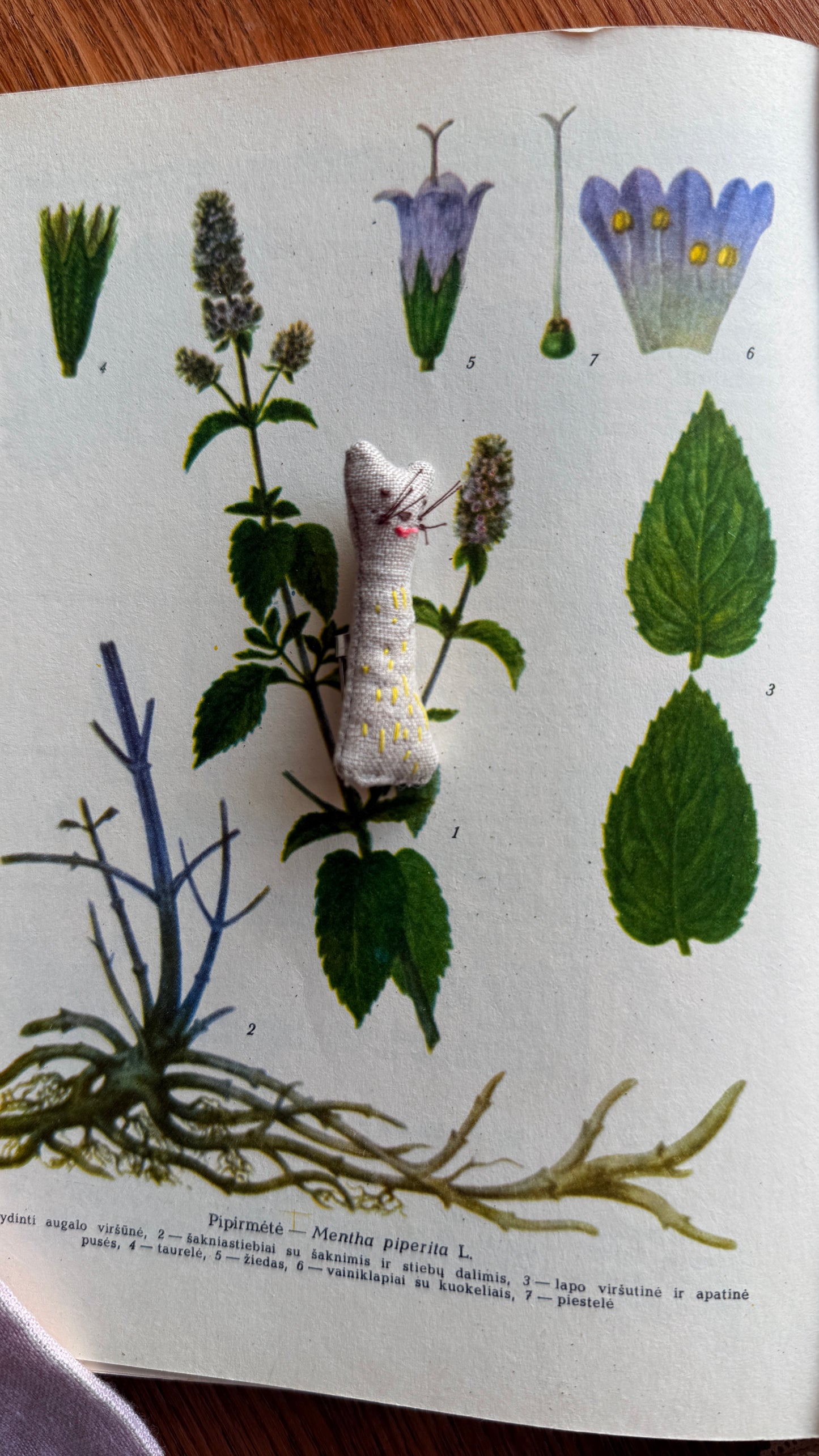 Segė "Džiaugsmo katinėlis"