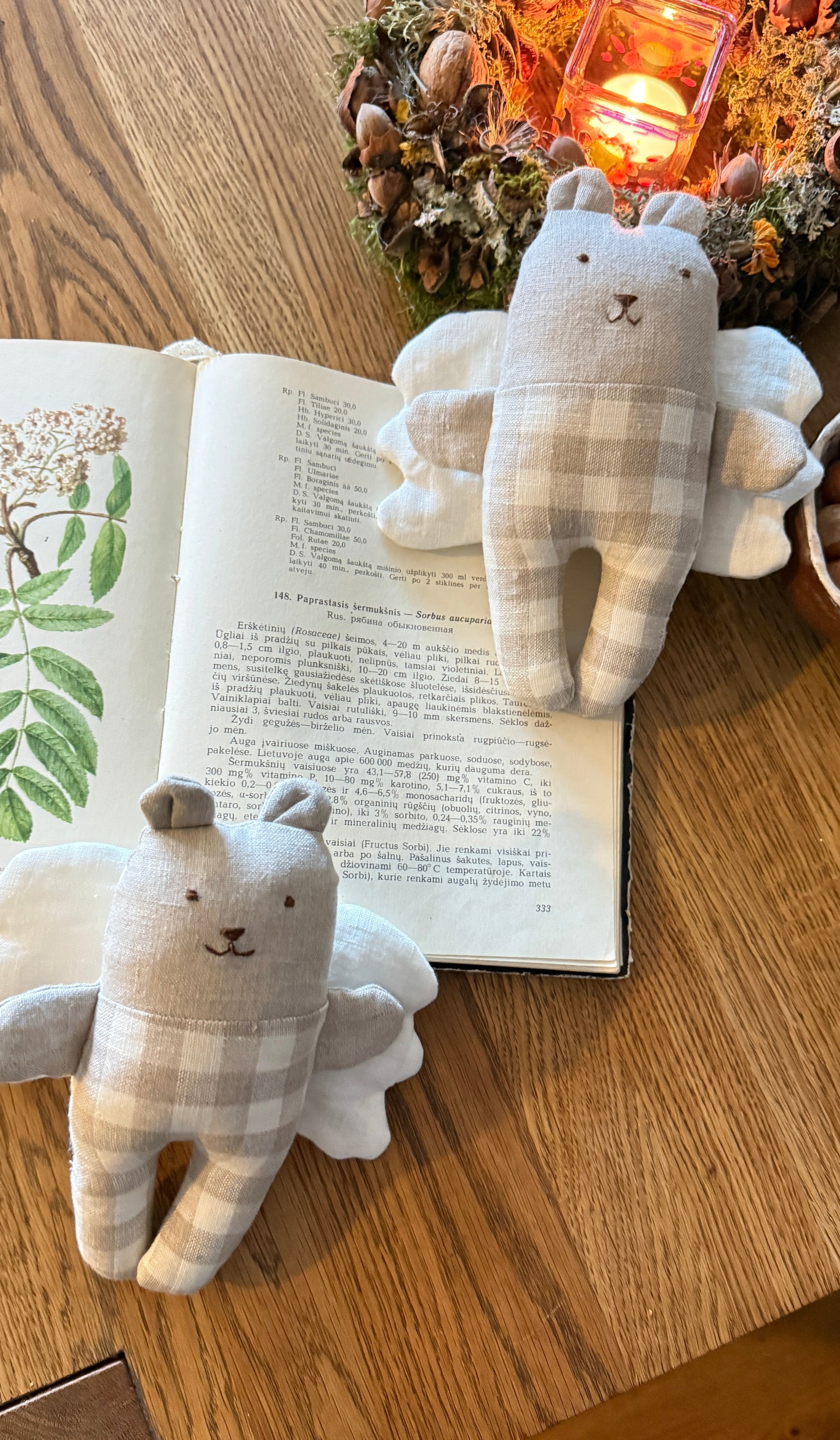 Svajų sparnuotas meškiukas