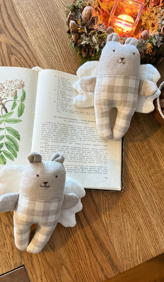 Svajų sparnuotas meškiukas