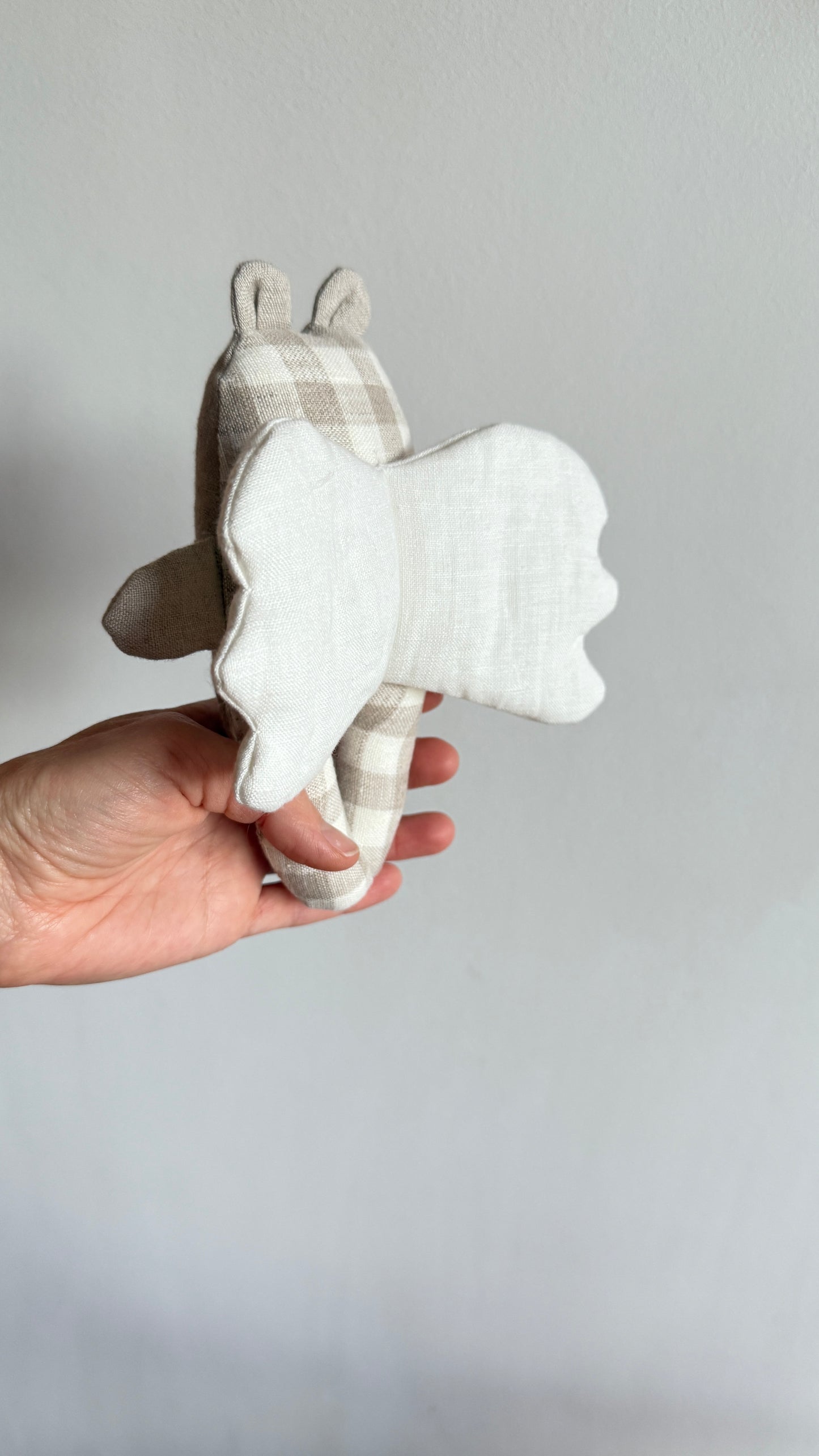 Svajų sparnuotas meškiukas