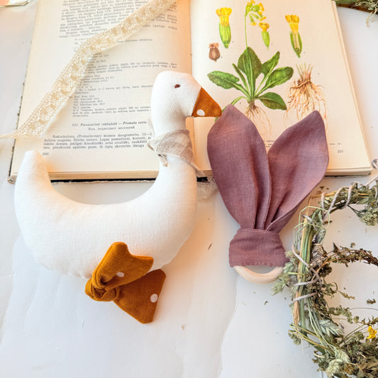 Rinkinukas mažyliui: “Žąsytė ir kramtukas”