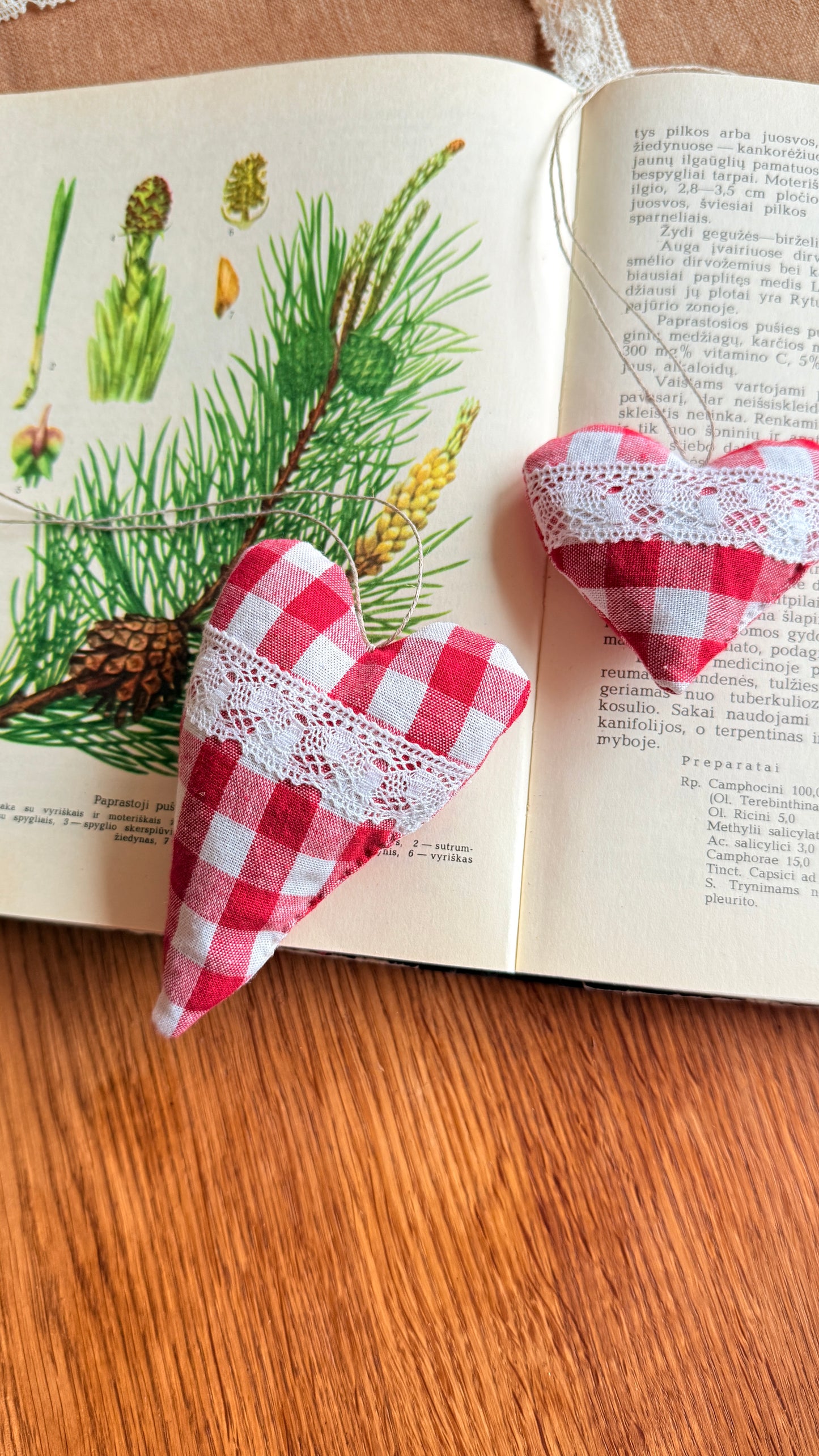 Širdelė "Šventė”