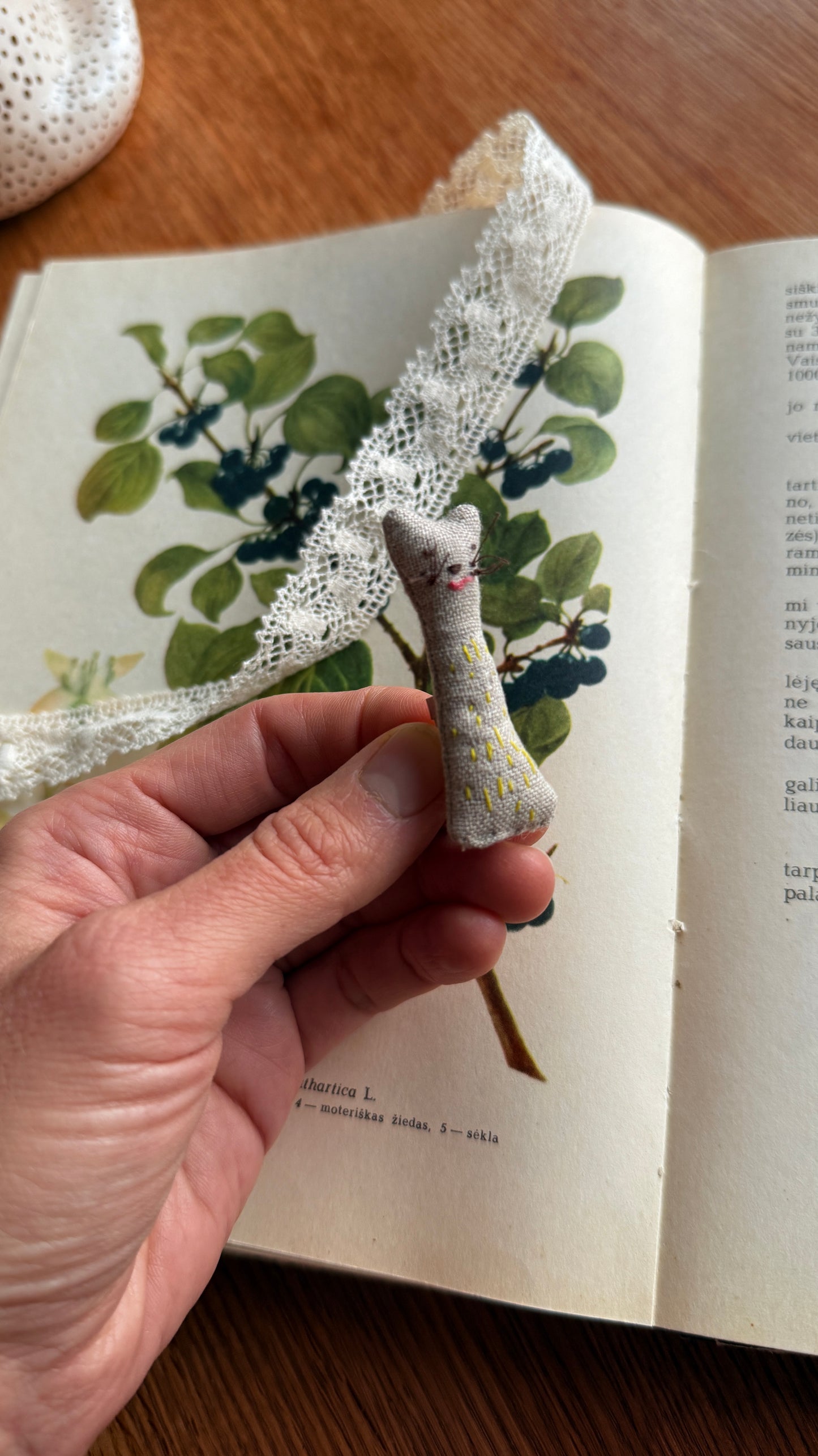 Segė "Džiaugsmo katinėlis"