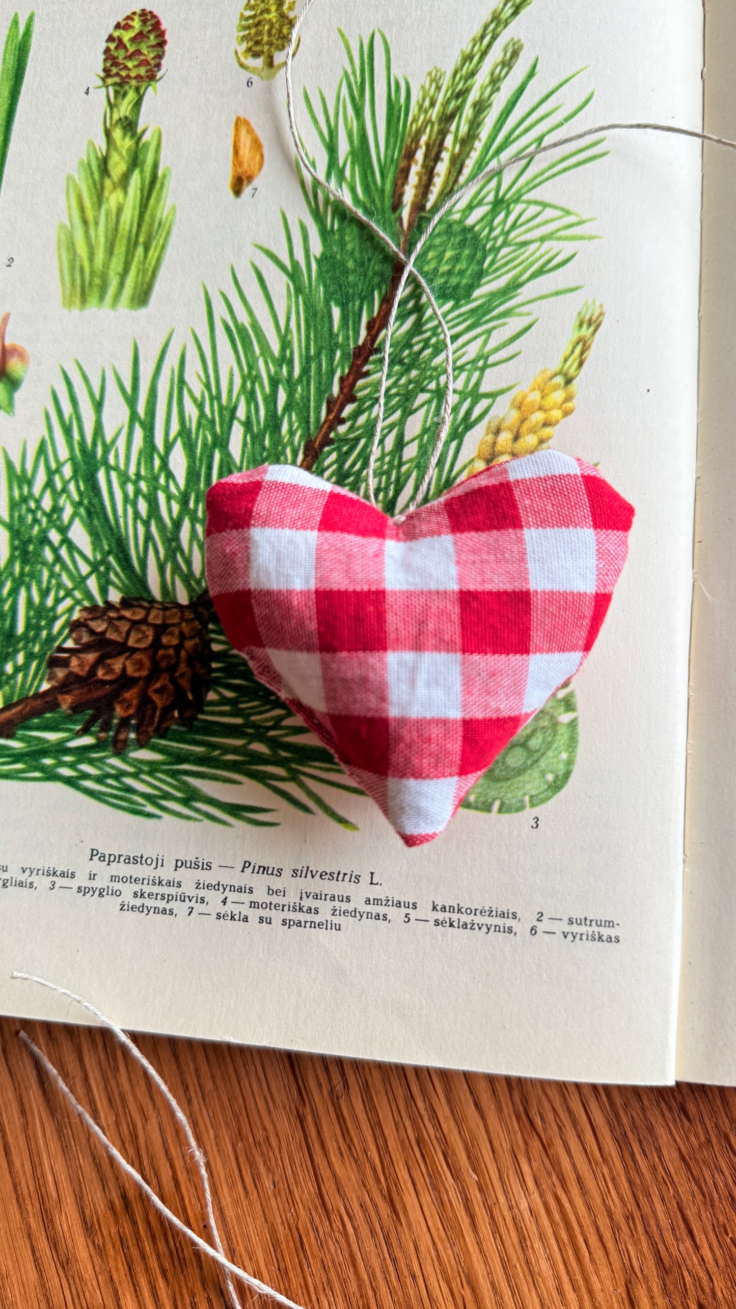 Širdelė "Šventinė dvasia”