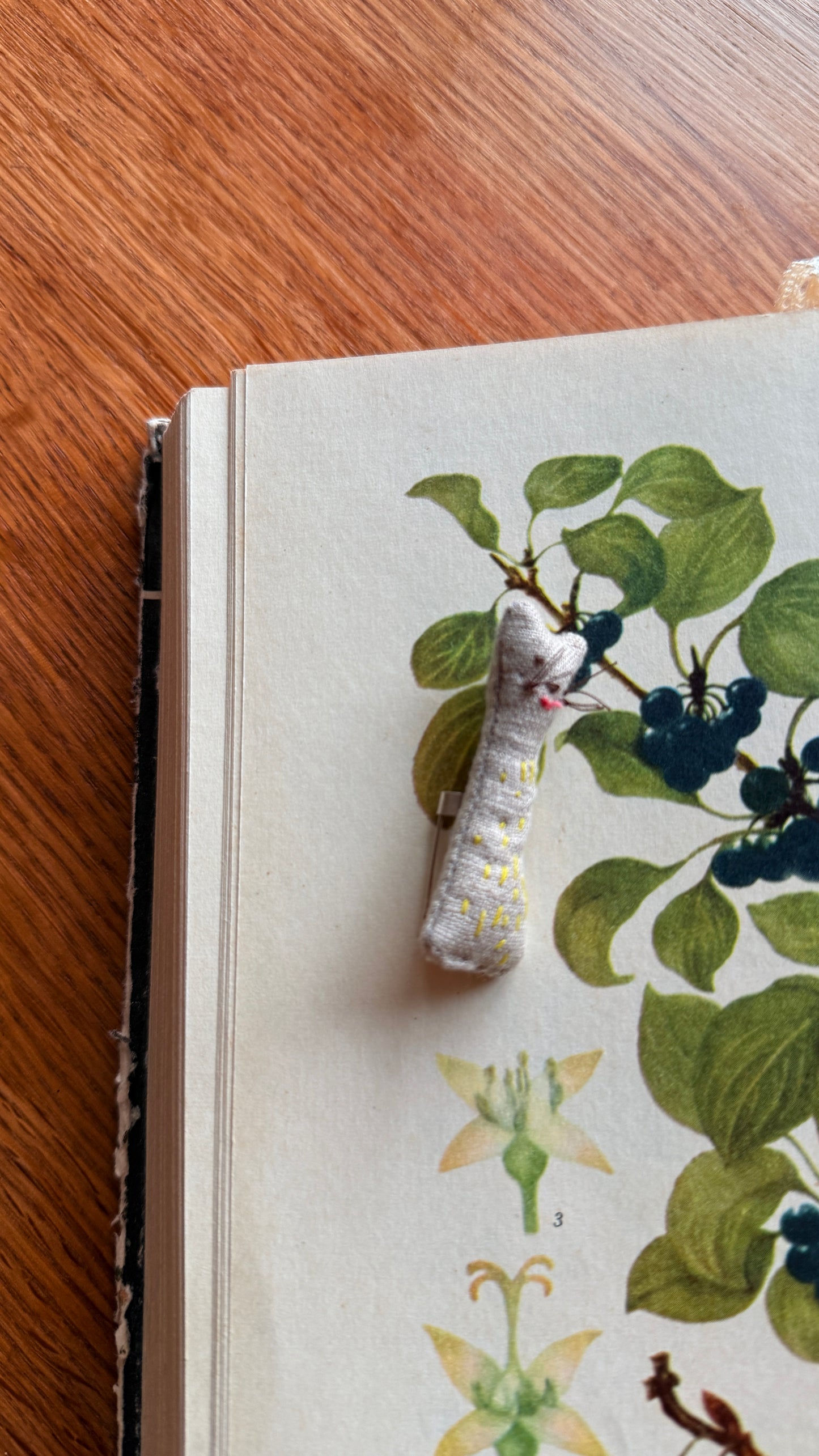 Segė "Džiaugsmo katinėlis"